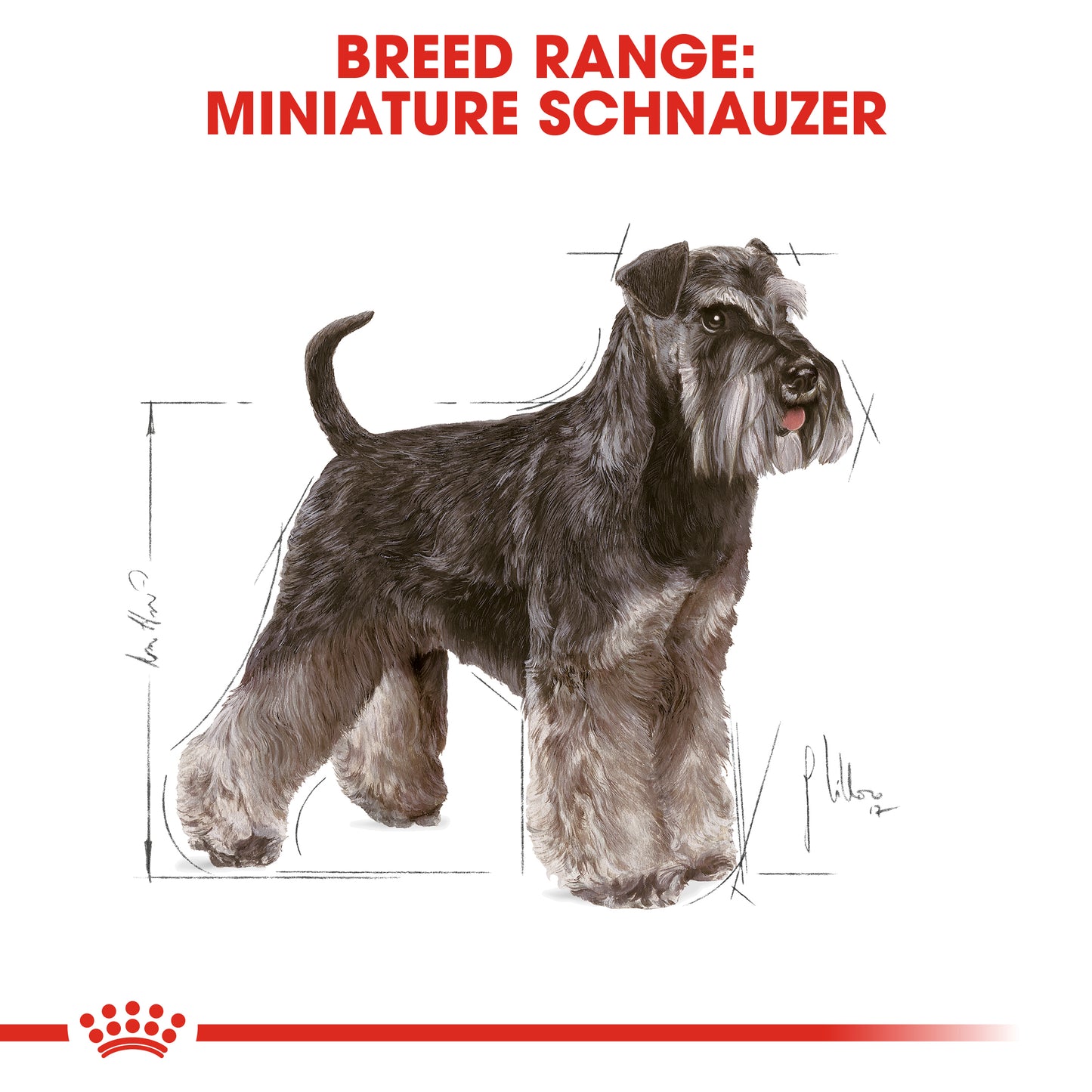 Royal Canin Adult Miniature Schnauzer - Breed Health Nutrition (BHN) 3kg