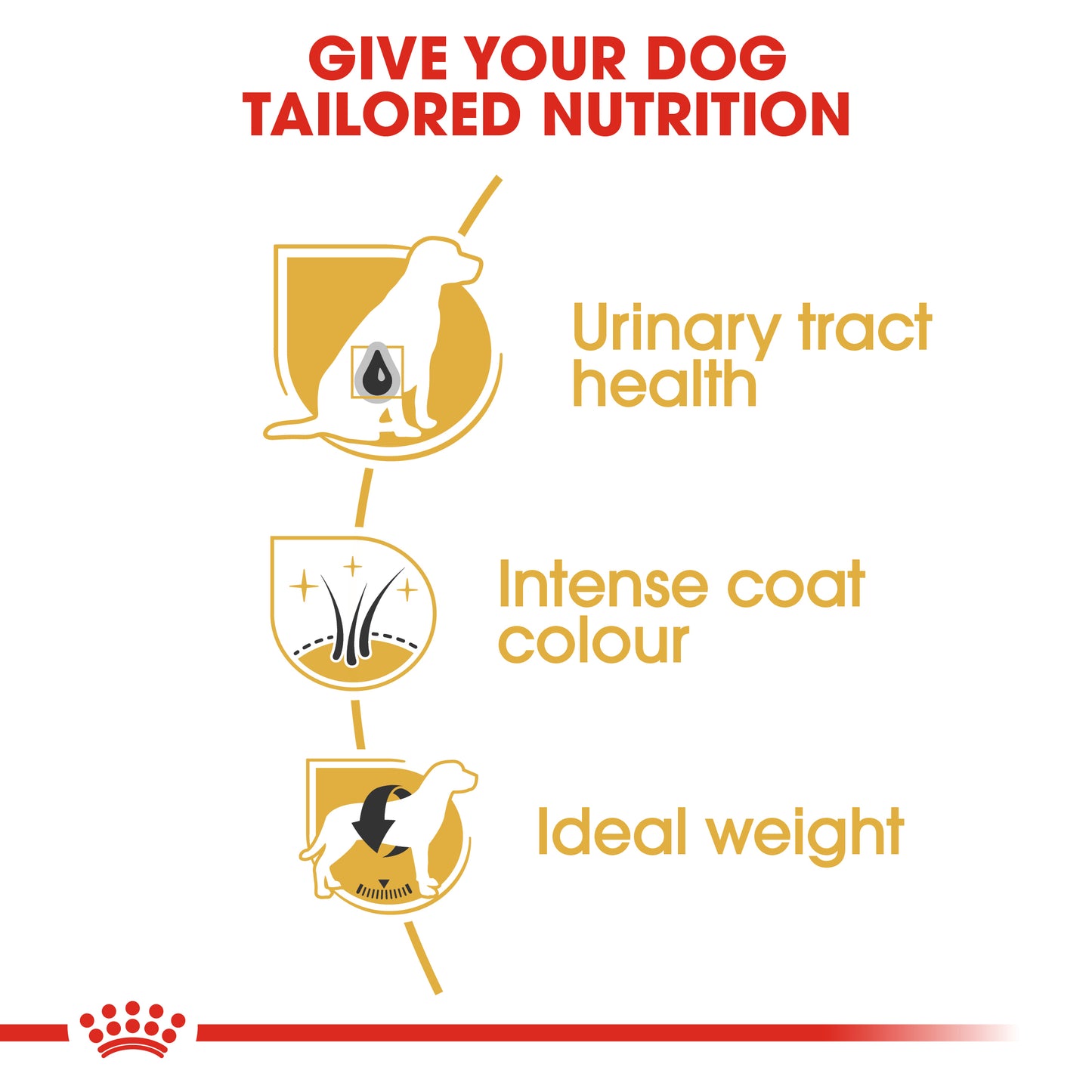 Royal Canin Adult Miniature Schnauzer - Breed Health Nutrition (BHN) 3kg