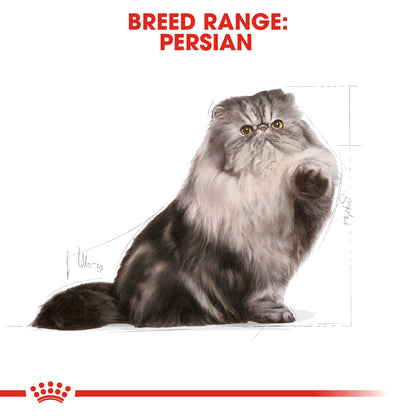 Royal Canin Persian - Feline Health Nutrition (FHN)