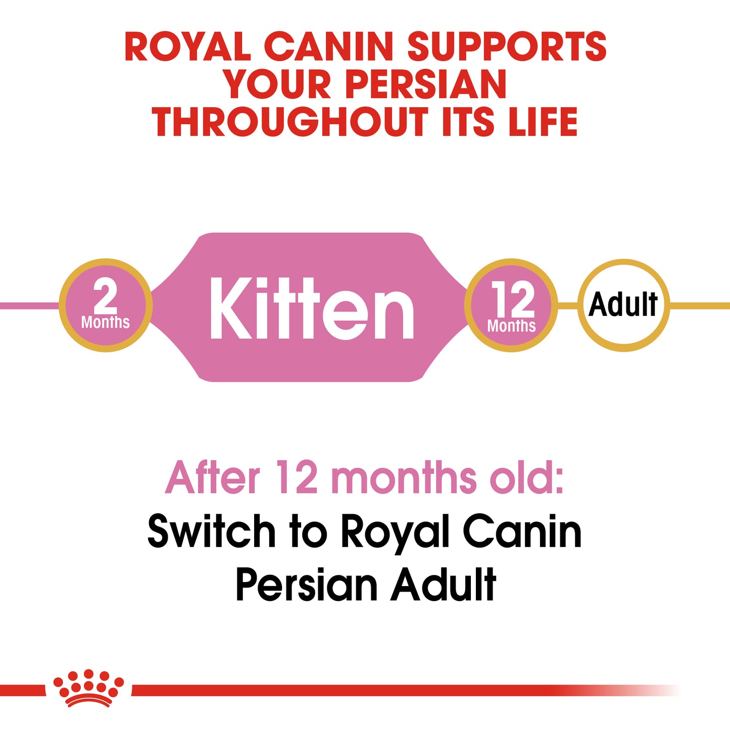 Royal Canin Persian - Feline Health Nutrition (FHN)