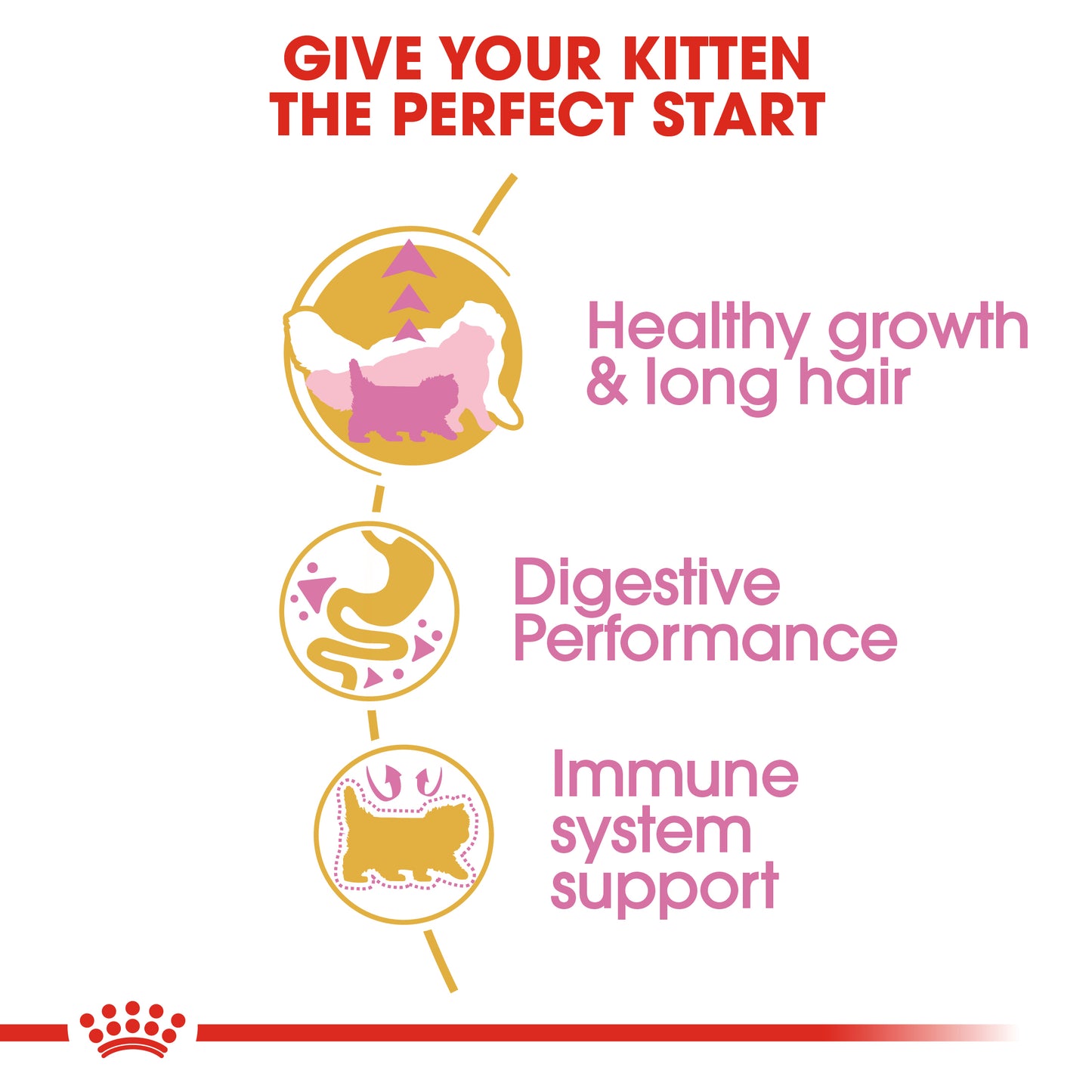 Royal Canin Persian - Feline Health Nutrition (FHN)