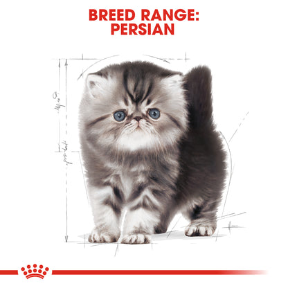 Royal Canin Persian - Feline Health Nutrition (FHN)