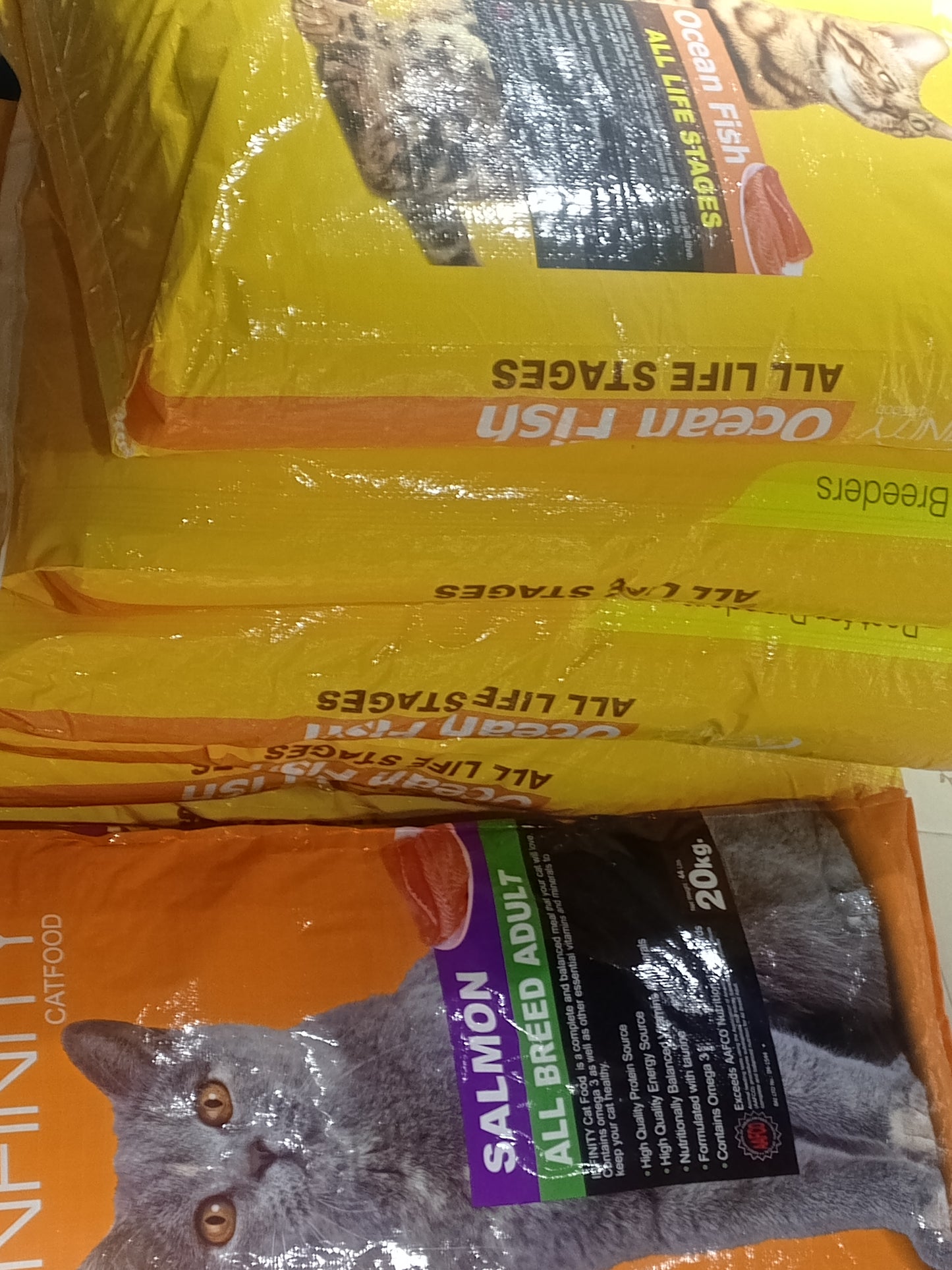 Infinity Catfood 20kg