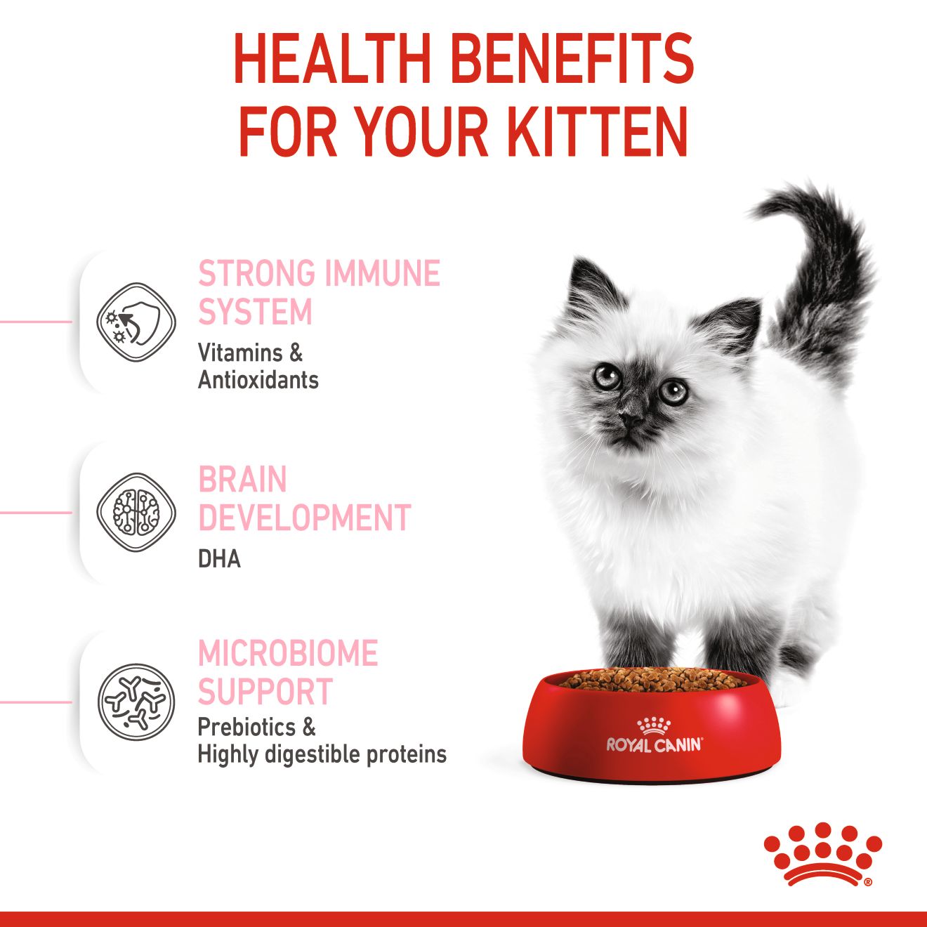 Royal Canin Kitten Up to 12 Months - Feline Health Nutrition (FHN)