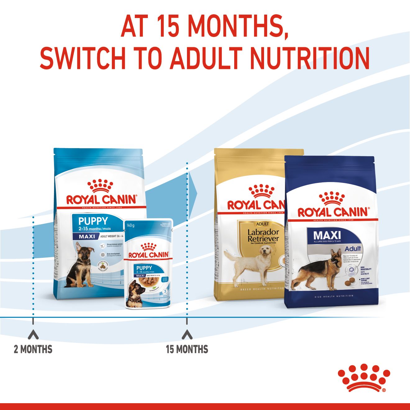 Royal Canin Maxi Junior Puppy - Size Health Nutrition (SHN) 1kg