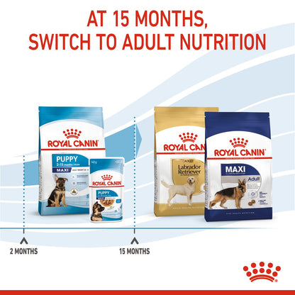 Royal Canin Maxi Junior Puppy - Size Health Nutrition (SHN) 1kg