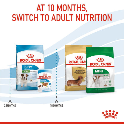Royal Canin Mini Puppy - Size Health Nutrition (SHN)
