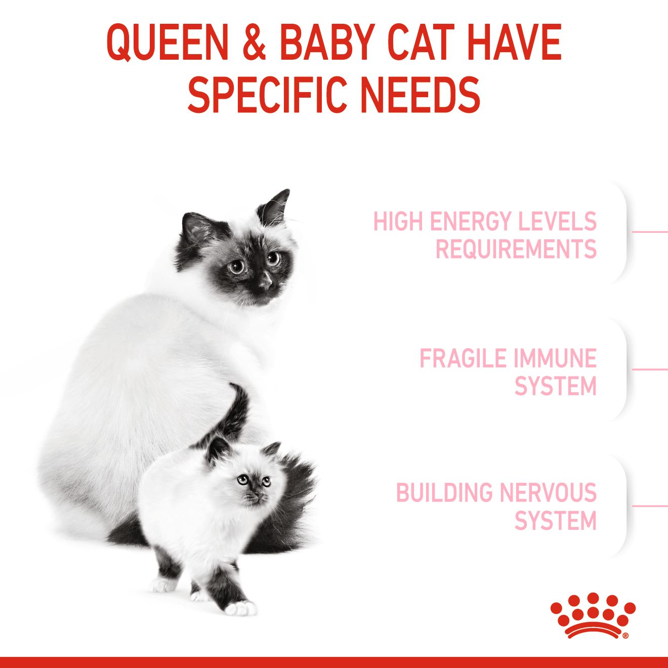 Royal Canin Mother & Babycat 1-4 Months - Feline Health Care (FCN)