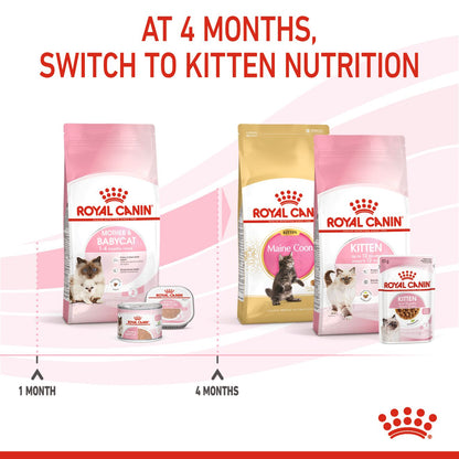 Royal Canin Mother & Babycat 1-4 Months - Feline Health Care (FCN)